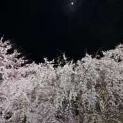 ヒメ日記 2026/04/18 22:56 投稿 なるみ 京都の痴女鉄道