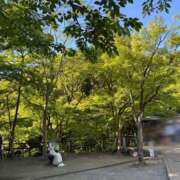 ヒメ日記 2025/05/29 12:38 投稿 みさき One More奥様　厚木店