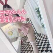 ヒメ日記 2025/09/10 13:37 投稿 ヒメ バニーコレクション新潟店