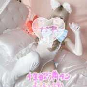 ヒメ日記 2025/10/27 08:00 投稿 ヒメ バニーコレクション新潟店