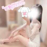 ヒメ日記 2025/04/29 06:31 投稿 ココア ラブコレクション