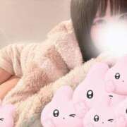 ヒメ日記 2025/05/11 06:01 投稿 ココア ラブコレクション