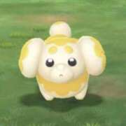 ヒメ日記 2025/05/29 17:31 投稿 ココア ラブコレクション