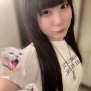 ヒメ日記 2025/06/06 04:31 投稿 ココア ラブコレクション