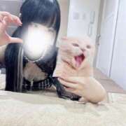 ヒメ日記 2025/07/30 07:01 投稿 ココア ラブコレクション