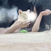 ヒメ日記 2025/11/09 06:46 投稿 ココア ラブコレクション