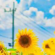 ヒメ日記 2025/07/20 08:39 投稿 ヨル 【福岡デリヘル】20代・30代★博多で評判のお店はココです！