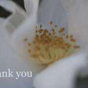 ヒメ日記 2025/05/24 09:54 投稿 かな 東大阪人妻援護会