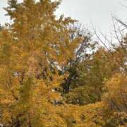 ヒメ日記 2025/12/08 09:11 投稿 マリ 水戸角海老