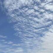 ヒメ日記 2025/12/11 15:11 投稿 マリ 水戸角海老