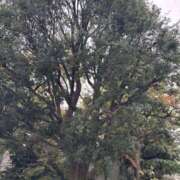 ヒメ日記 2026/01/26 15:41 投稿 マリ 水戸角海老