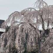 ヒメ日記 2026/03/31 20:36 投稿 マリ 水戸角海老