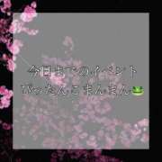 ヒメ日記 2025/03/22 10:11 投稿 かりな ぽっちゃりデリヘル倶楽部