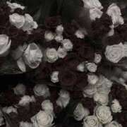 ヒメ日記 2025/03/23 18:09 投稿 かりな ぽっちゃりデリヘル倶楽部