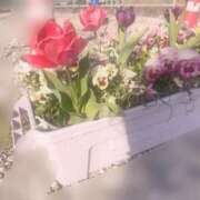 ヒメ日記 2025/04/15 16:03 投稿 あき 三重四日市ちゃんこ