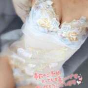 ヒメ日記 2026/02/12 11:27 投稿 白咲 なな Men's relaxation VEGA