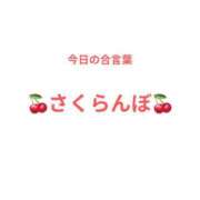 ヒメ日記 2026/03/17 13:01 投稿 白咲 なな Men's relaxation VEGA