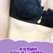 ヒメ日記 2025/05/16 13:02 投稿 りおん ちゃんこ千葉東金店