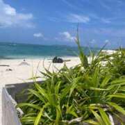 ヒメ日記 2025/07/20 14:44 投稿 みみ 沖縄ちゃんこ那覇店