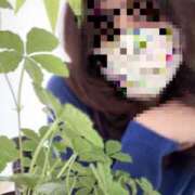 ヒメ日記 2025/04/23 09:10 投稿 月村綾 五十路マダムエクスプレス豊橋店（カサブランカグループ）