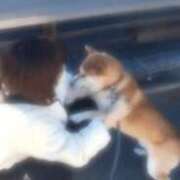 ヒメ日記 2025/05/01 17:06 投稿 月村綾 五十路マダムエクスプレス豊橋店（カサブランカグループ）