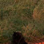 ヒメ日記 2025/06/25 09:46 投稿 月村綾 五十路マダムエクスプレス豊橋店（カサブランカグループ）