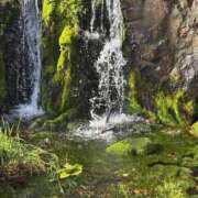 ヒメ日記 2025/07/08 09:46 投稿 月村綾 五十路マダムエクスプレス豊橋店（カサブランカグループ）