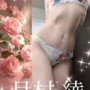 ヒメ日記 2025/11/14 12:46 投稿 月村綾 五十路マダムエクスプレス豊橋店（カサブランカグループ）