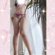 ヒメ日記 2026/01/16 12:16 投稿 月村綾 五十路マダムエクスプレス豊橋店（カサブランカグループ）