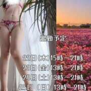 ヒメ日記 2026/01/19 10:08 投稿 月村綾 五十路マダムエクスプレス豊橋店（カサブランカグループ）