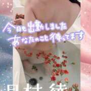 ヒメ日記 2026/02/28 15:54 投稿 月村綾 五十路マダムエクスプレス豊橋店（カサブランカグループ）