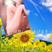 ヒメ日記 2026/06/15 12:02 投稿 月村綾 五十路マダムエクスプレス豊橋店（カサブランカグループ）