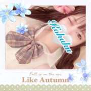 ヒメ日記 2025/03/28 04:36 投稿 こはく One More 奥様　西船橋店