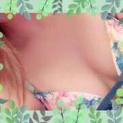 ヒメ日記 2025/04/05 03:46 投稿 こはく One More 奥様　西船橋店