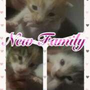 ヒメ日記 2025/05/27 21:16 投稿 こはく One More 奥様　西船橋店