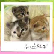 ヒメ日記 2025/06/29 22:45 投稿 こはく One More 奥様　西船橋店