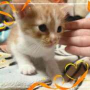 ヒメ日記 2025/07/29 09:06 投稿 こはく One More 奥様　西船橋店