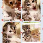 ヒメ日記 2025/07/30 06:46 投稿 こはく One More 奥様　西船橋店