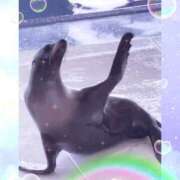 ヒメ日記 2025/10/25 21:56 投稿 こはく One More 奥様　西船橋店