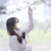 ヒメ日記 2025/04/15 21:29 投稿 おとね☆LUXURY　CLASS Ribbon 1st