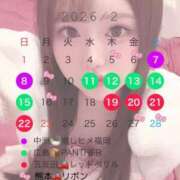 ヒメ日記 2026/02/15 10:13 投稿 おとね☆LUXURY　CLASS Ribbon 1st