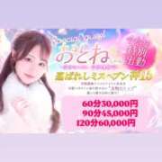 ヒメ日記 2026/04/03 11:33 投稿 おとね☆LUXURY　CLASS Ribbon 1st