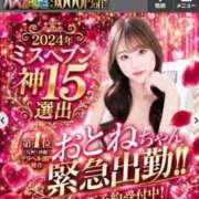 ヒメ日記 2026/08/12 08:53 投稿 おとね☆LUXURY　CLASS Ribbon 1st