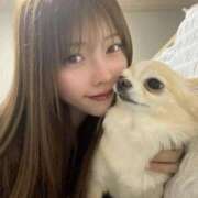 ヒメ日記 2025/04/04 06:30 投稿 まりん MONTE(モンテ)