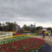 ヒメ日記 2025/03/28 14:48 投稿 あすな セクシー(長崎)