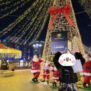 ヒメ日記 2026/02/05 03:18 投稿 あすな セクシー(長崎)