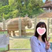 ヒメ日記 2026/09/14 19:49 投稿 あんり CELEB FACE FUKUOKA