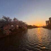 ヒメ日記 2026/04/03 19:39 投稿 まりな CELEB FACE FUKUOKA