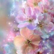 ヒメ日記 2025/07/09 01:49 投稿 りん CELEB FACE FUKUOKA