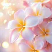 ヒメ日記 2025/07/10 19:33 投稿 りん CELEB FACE FUKUOKA